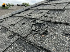 Close-up of severe hail damage on asphalt roof shingles.