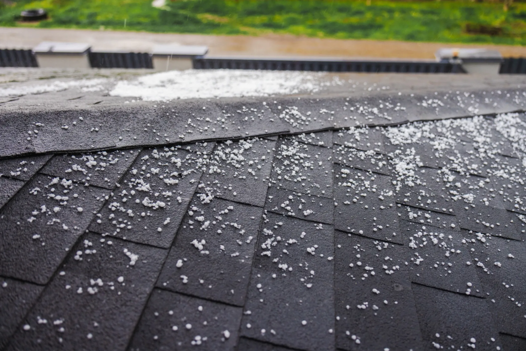 Hailstones scattered across dark asphalt roof shingles during a storm.